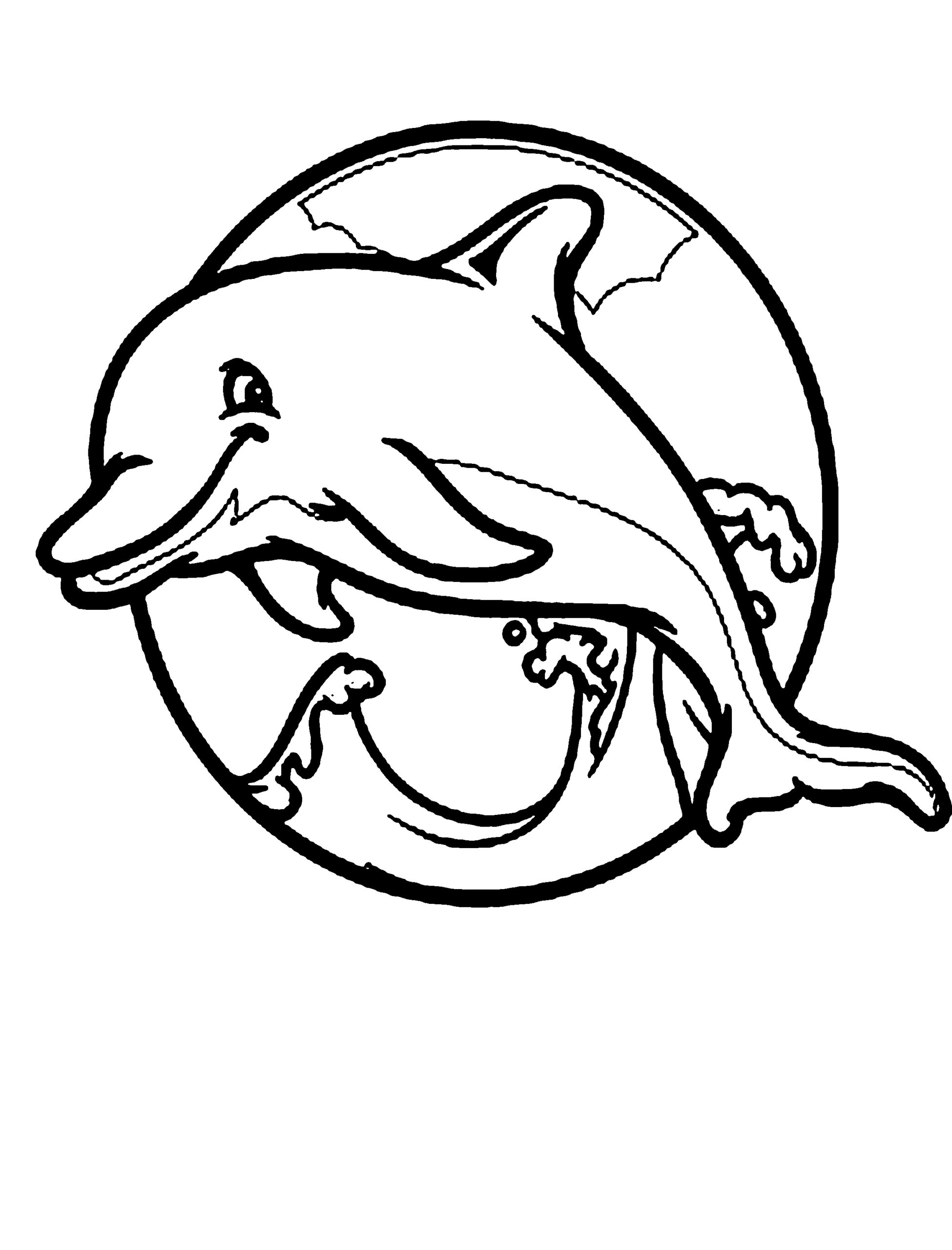 dolphin color pages free