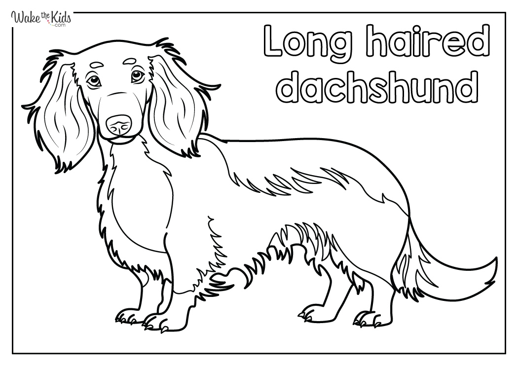 Dachshund Coloring Pages Free Printable PDFs WakeTheKids