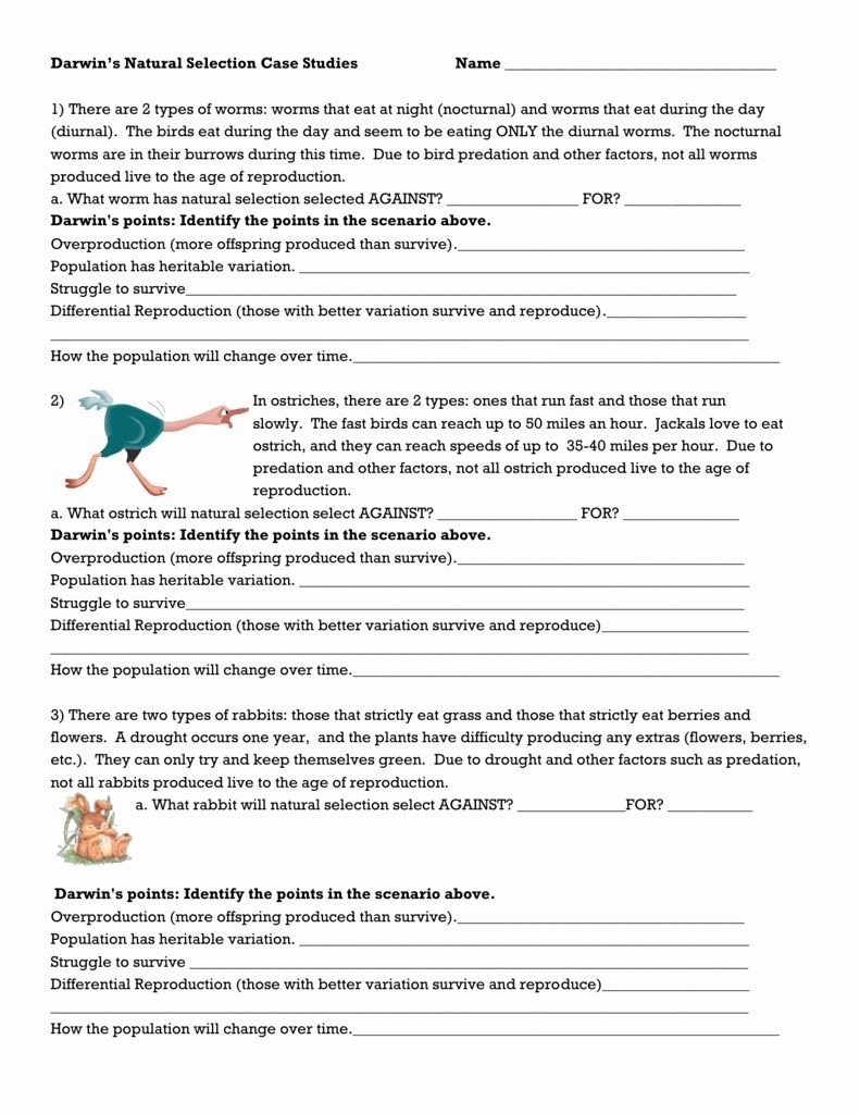 Darwin 39 s Natural Selection Worksheet New Darwin S Natural Selection 