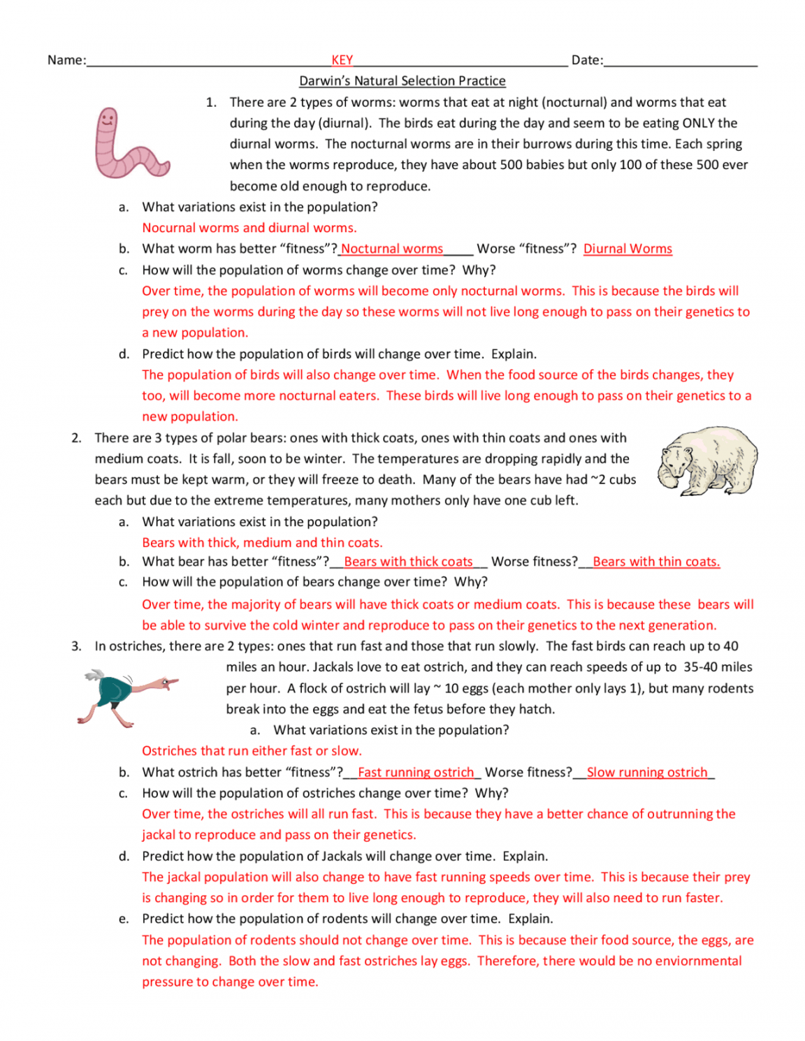 Darwin S Natural Selection Worksheet Printable PDF Template