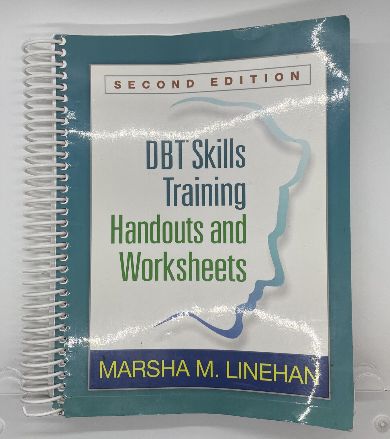 DBT Skills Training Handouts And Worksheets Second Edition
