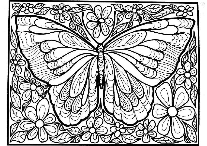 Detailed And Difficult To Color Hard Butterfly Coloring Pages For 