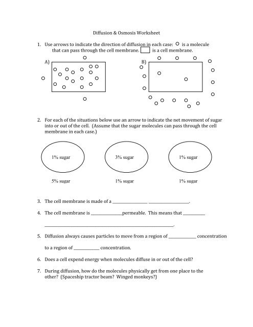 worksheet on osmosis and diffusion