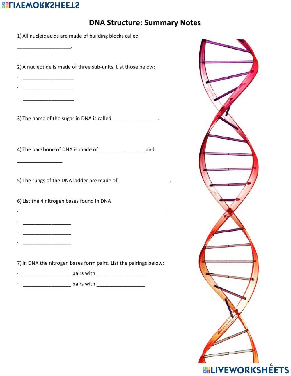DNA Structure Live Worksheets Worksheets Library