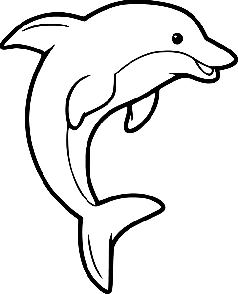 Dolphin Color Page Coloring Book 6000 Coloring Pages 