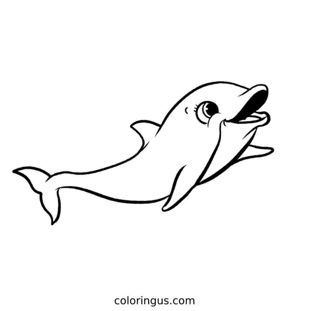 Dolphin Coloring Pages Free Printable PDF