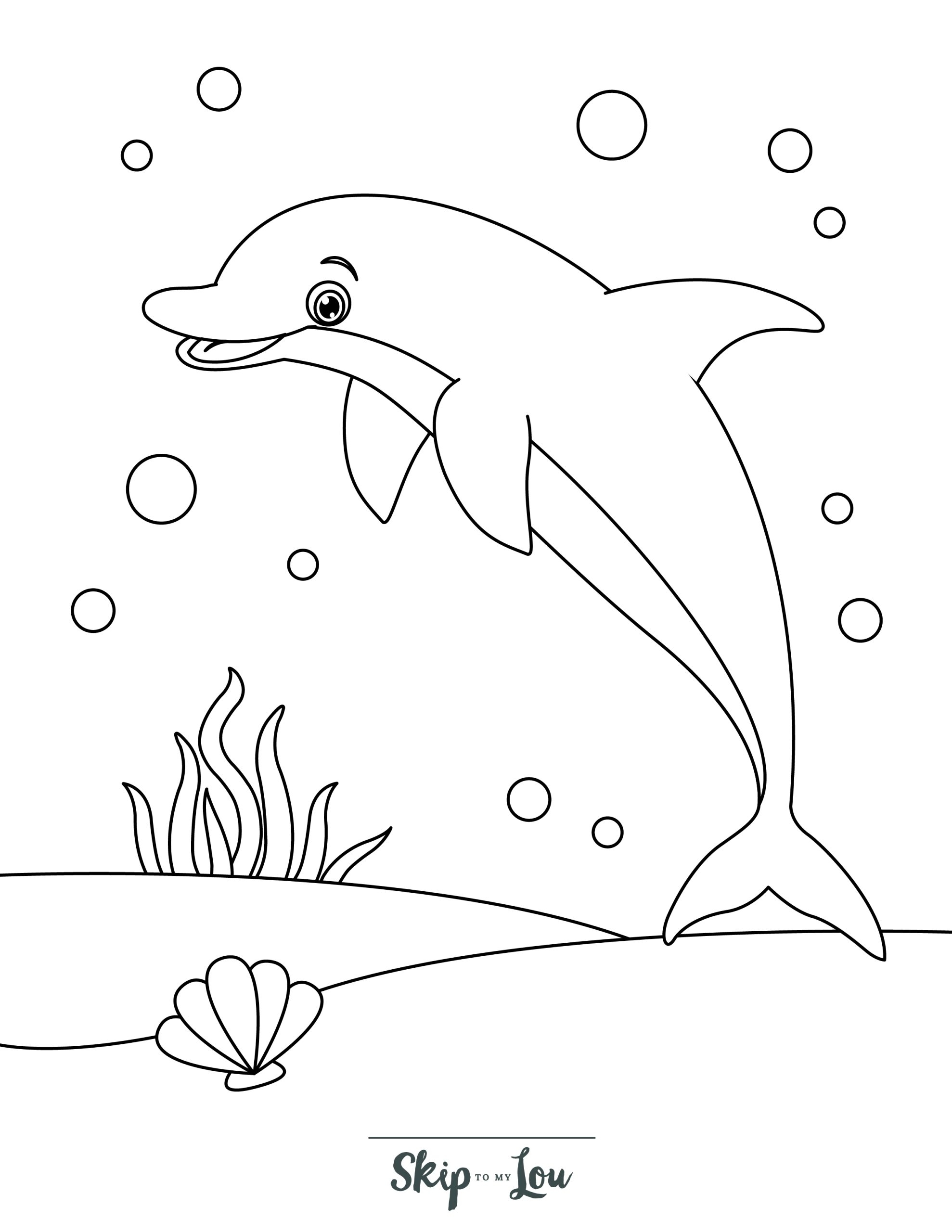 dolphin coloring pages free