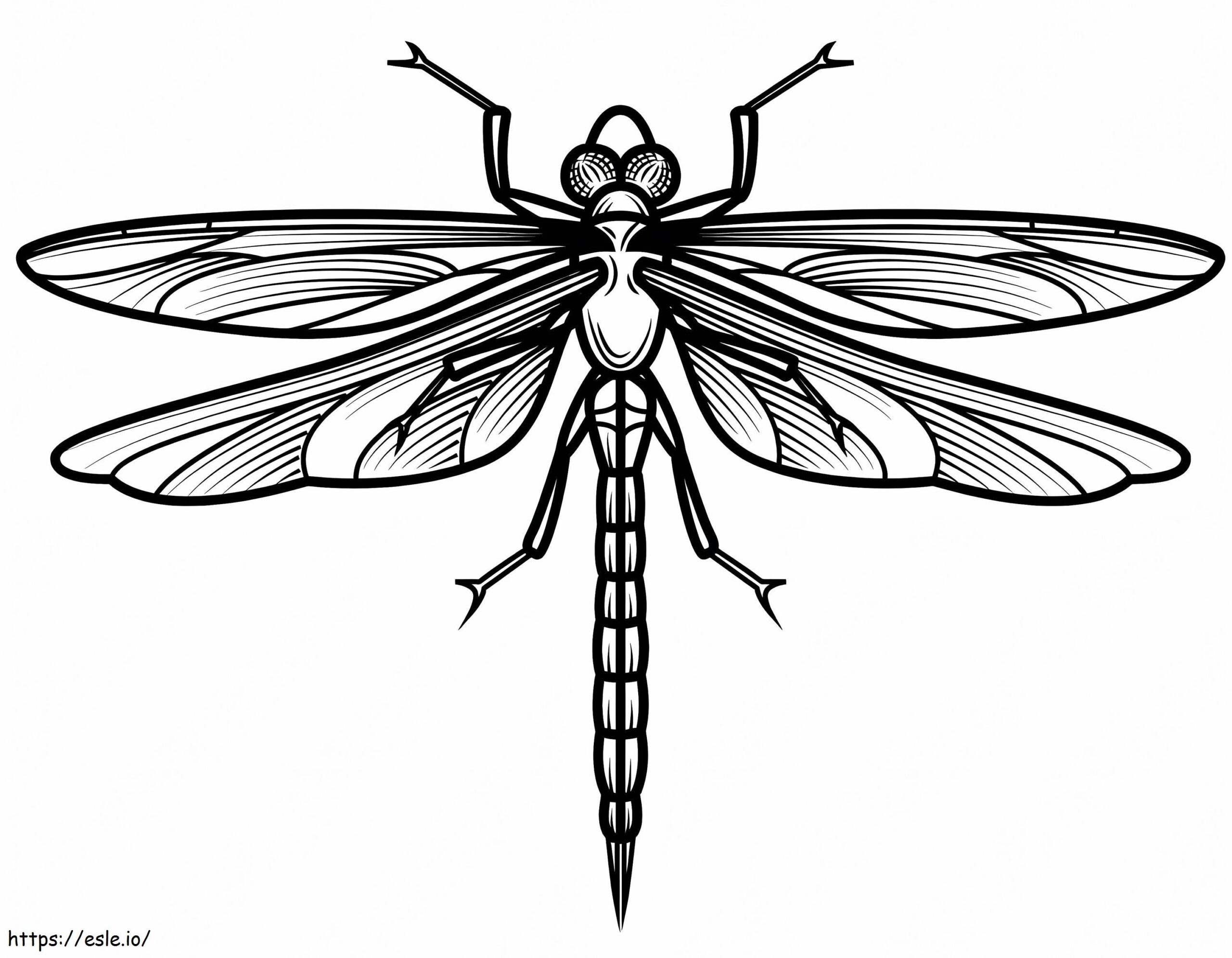 Dragonfly Coloring Page