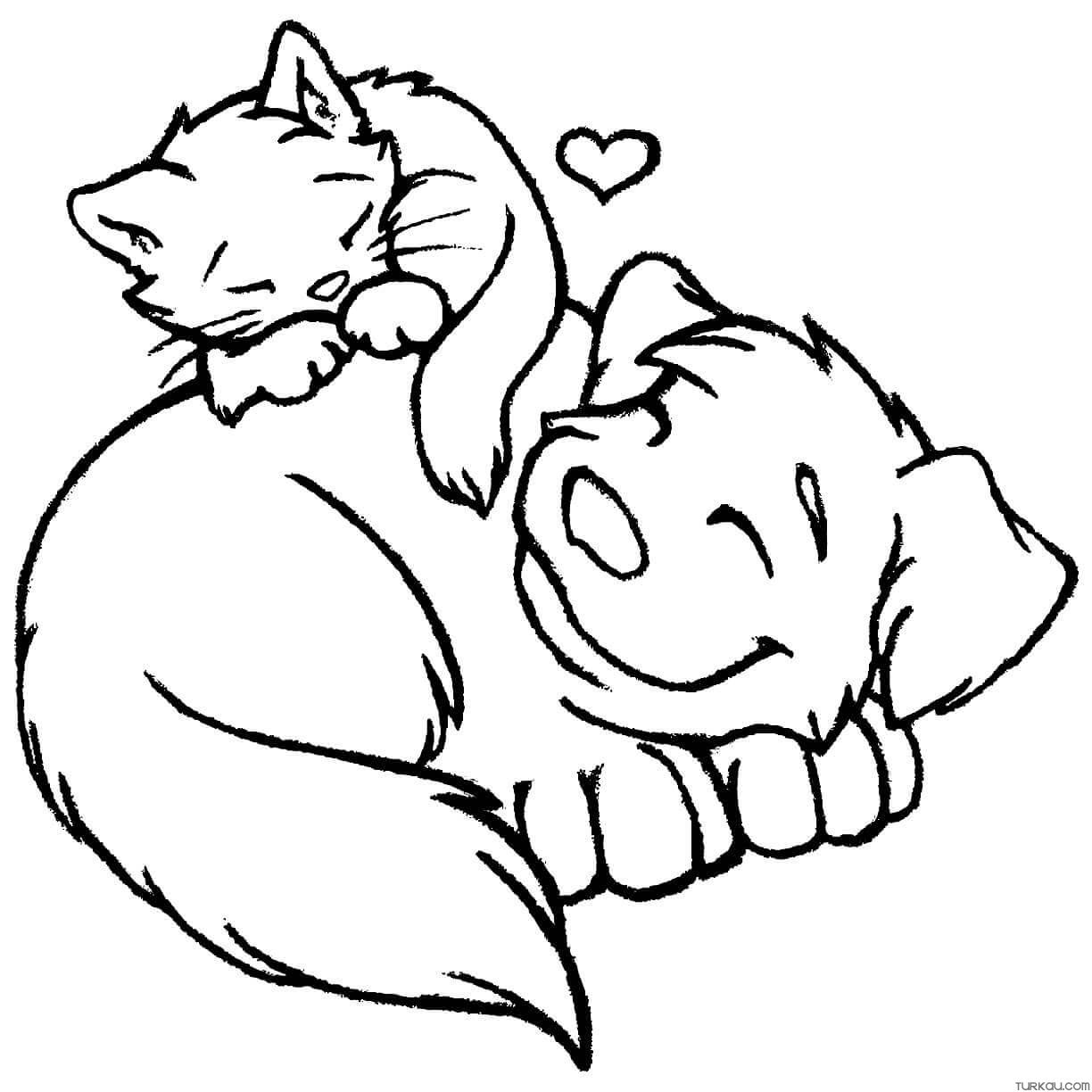 Dog Cat Coloring Pages