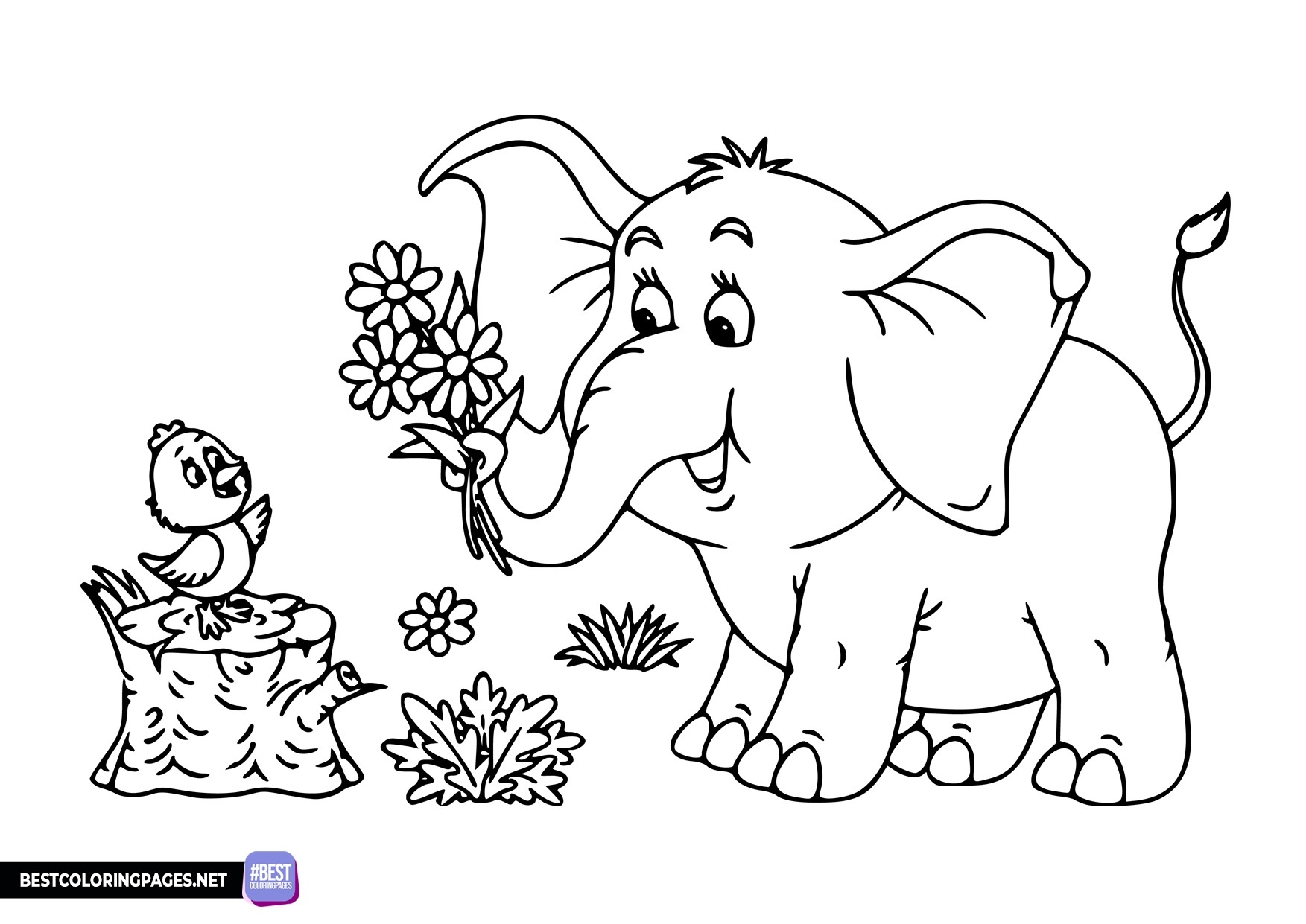 Elephant Printable Coloring Page Free Printable Coloring Pages
