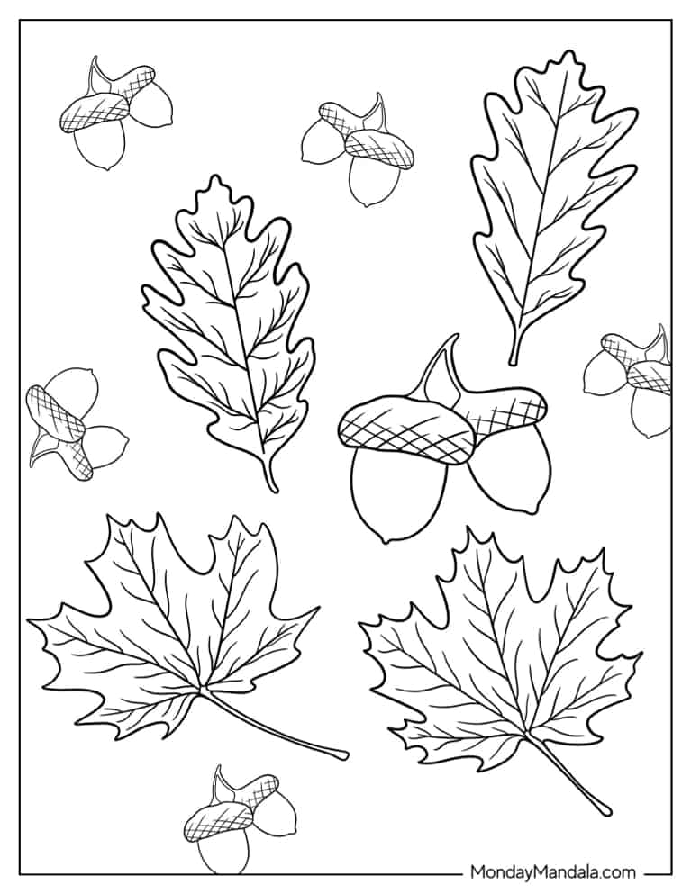 Fall Coloring Pages Printable Free