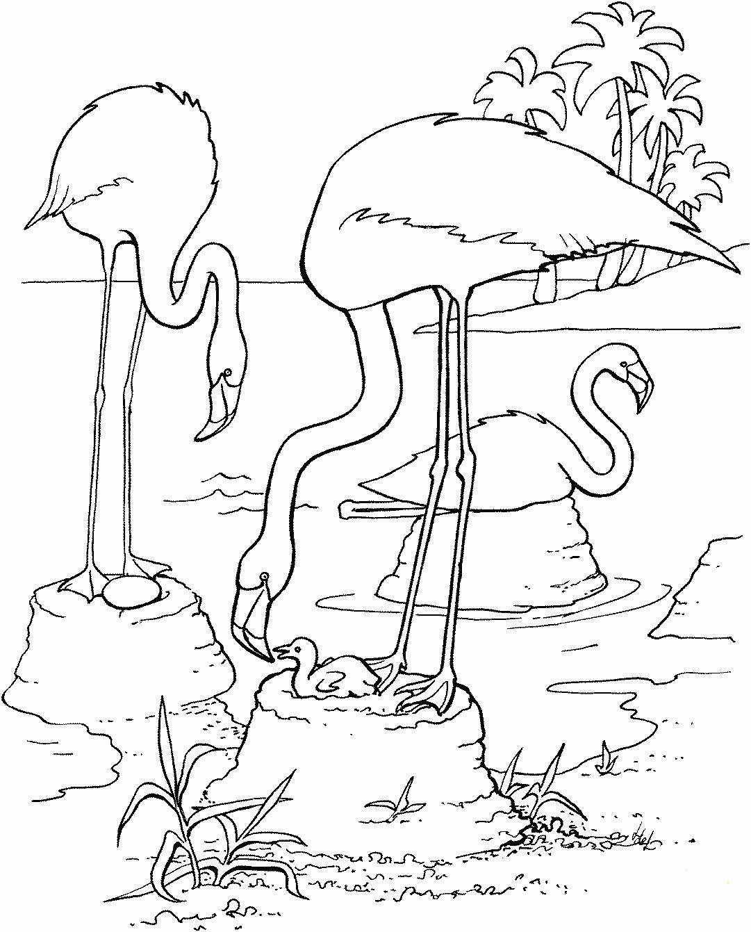 Flamingo Coloring Page