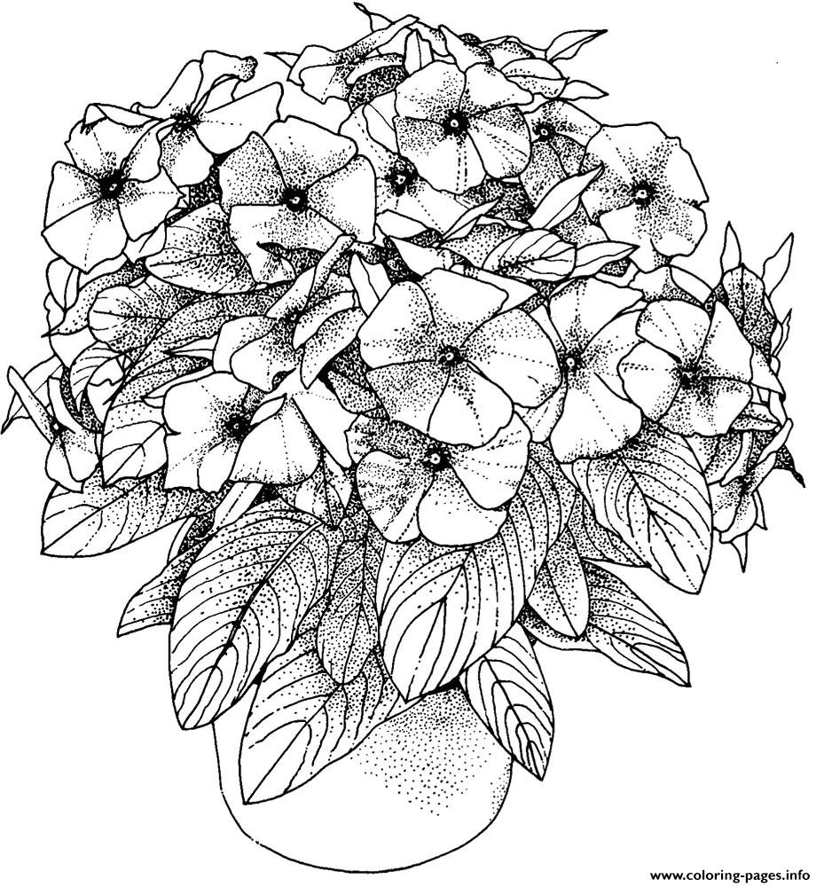 Coloring Pages Free Printable Flowers
