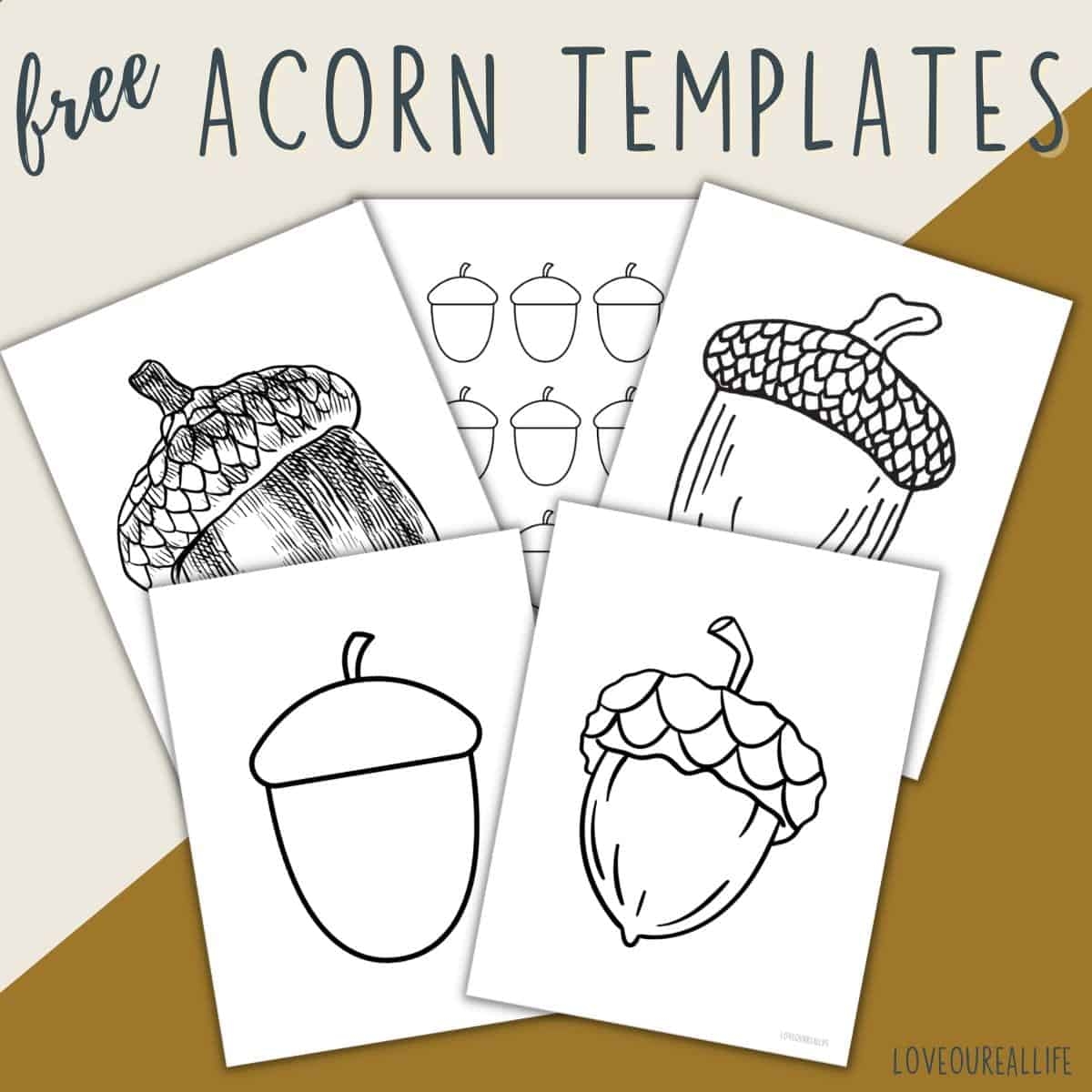 free acorn template printable