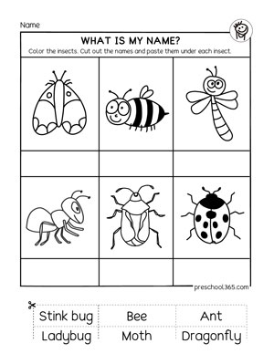 bugs worksheet for preschool
