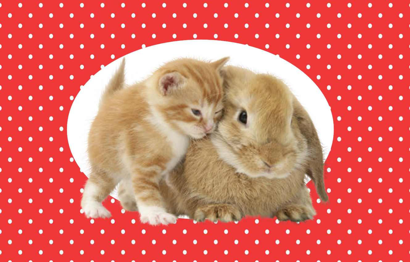 printable bunny cards