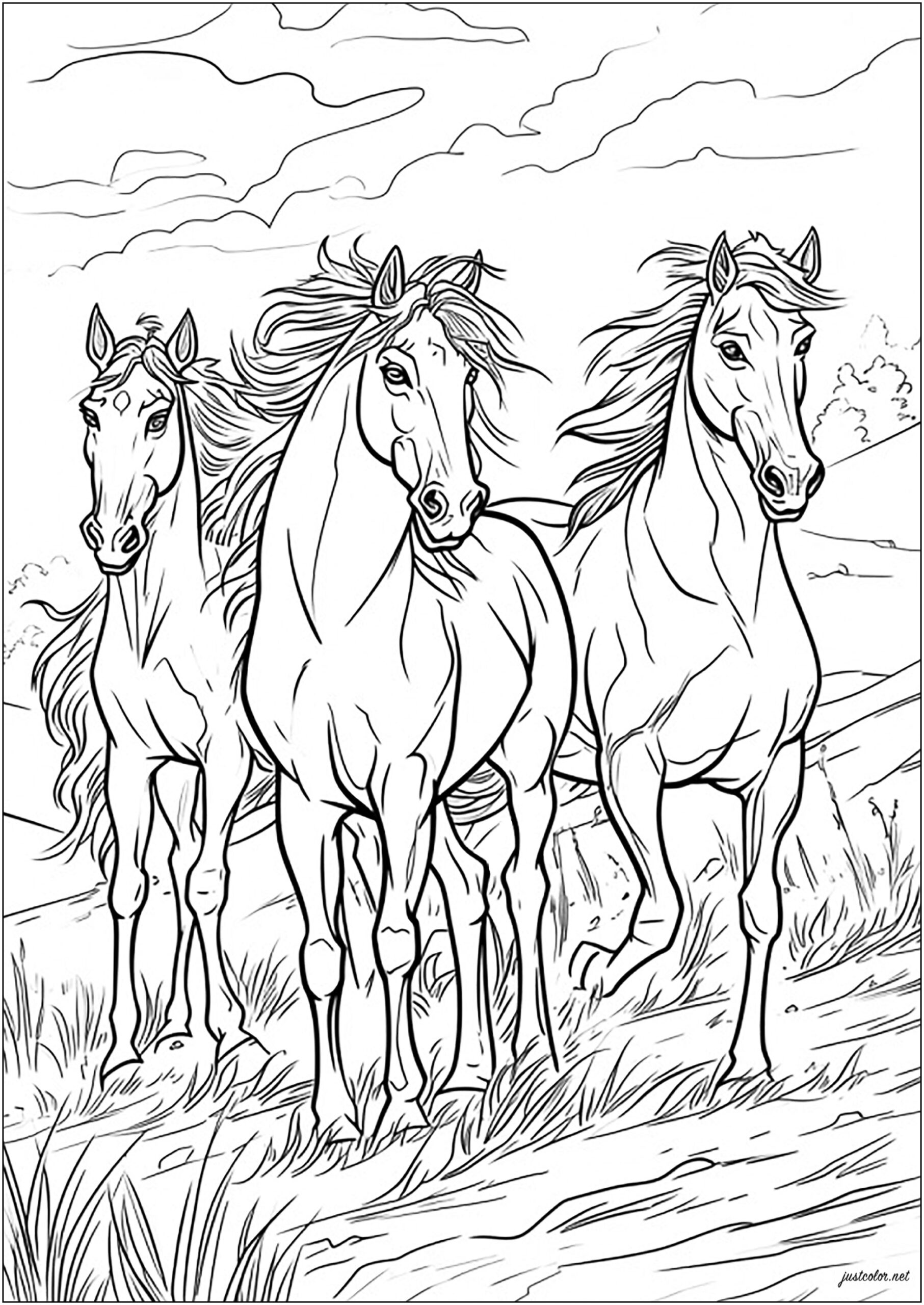 Coloring Pages Of Horses Printable