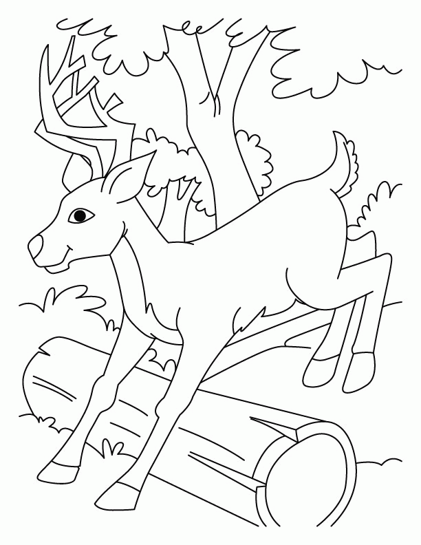 Free Deer Coloring Pages Coloring Home