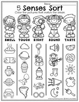 Free Five Senses Worksheets TeachersMag Worksheets Library