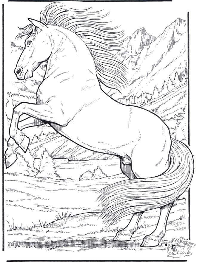 printable horse coloring pages free