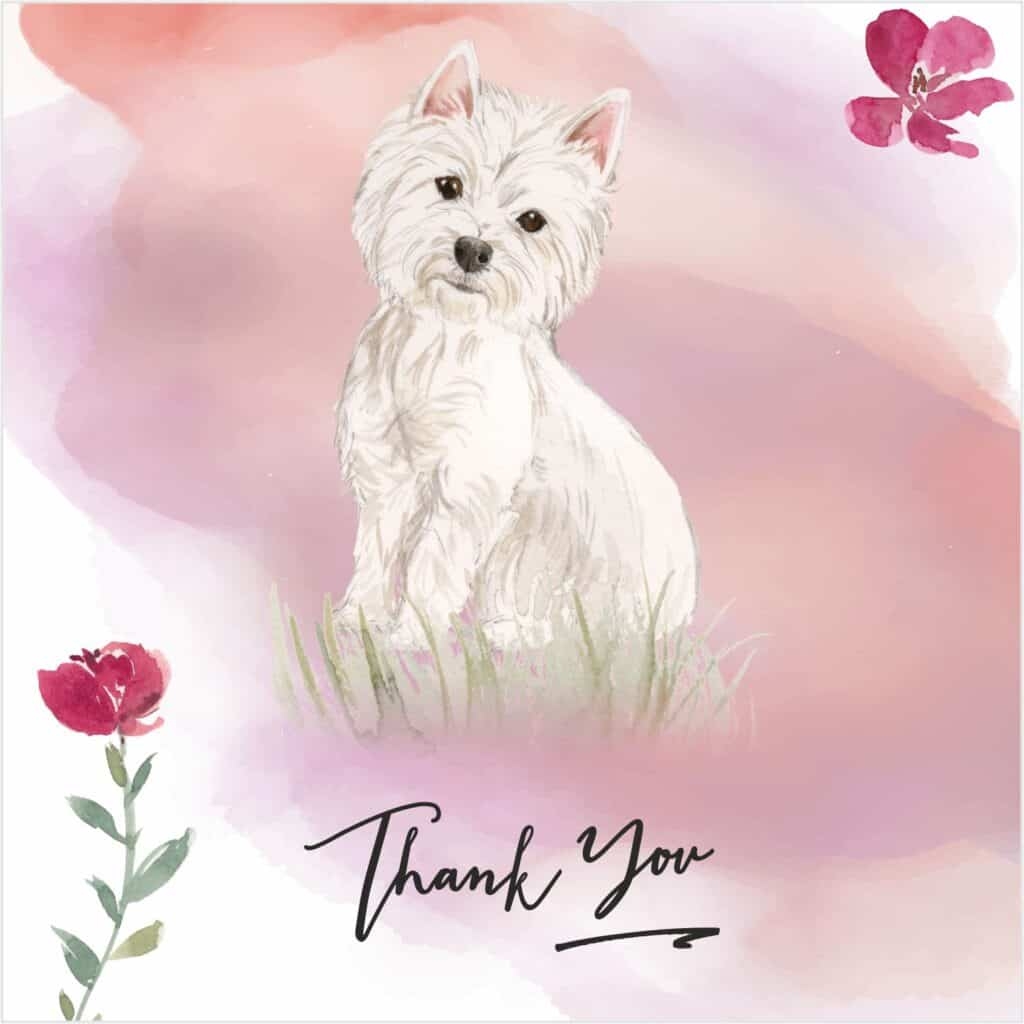 printable animal thank you cards