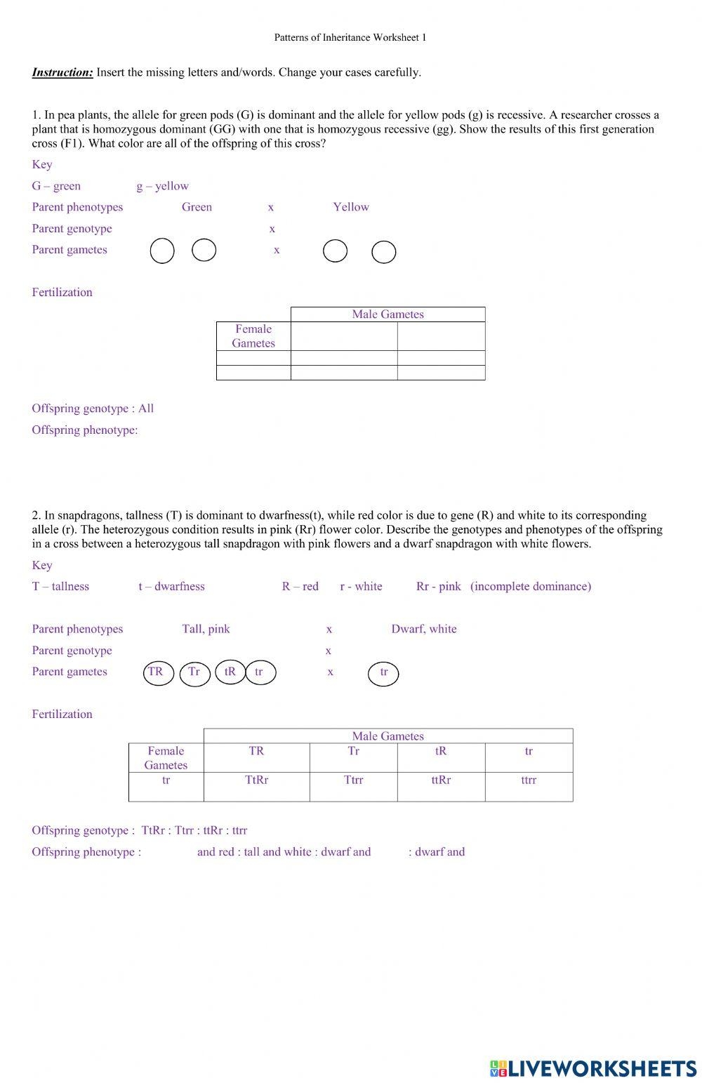 Free Patterns Of Inheritance Worksheet Download Free Patterns Of 