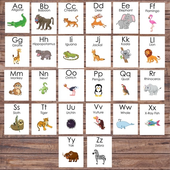 printable animal alphabet cards