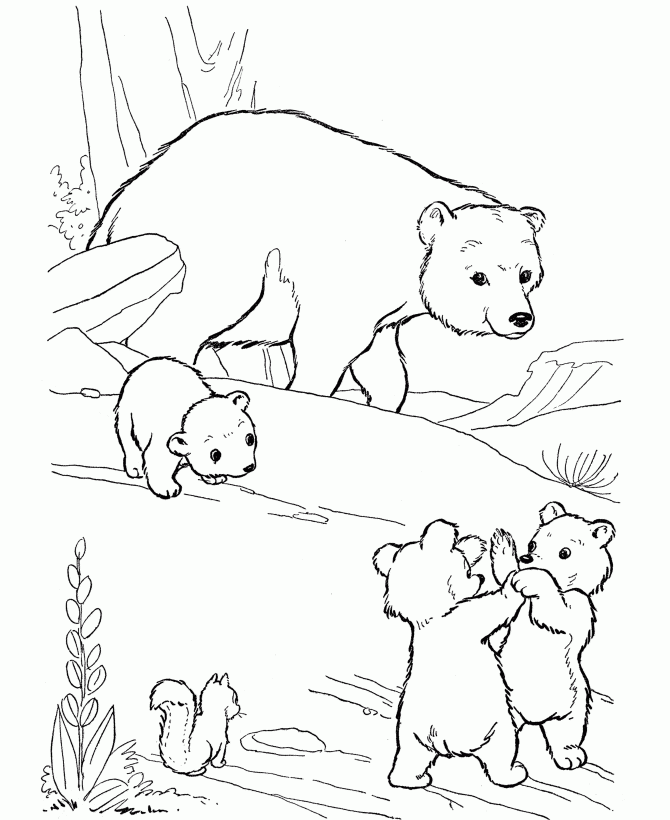 bear coloring pages free
