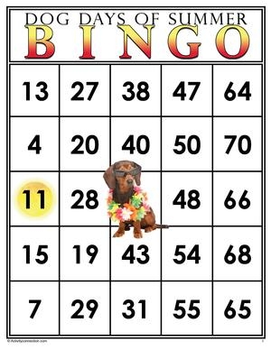 Free Printable Bingo Cards Activity Connection Printable Bingo Cards