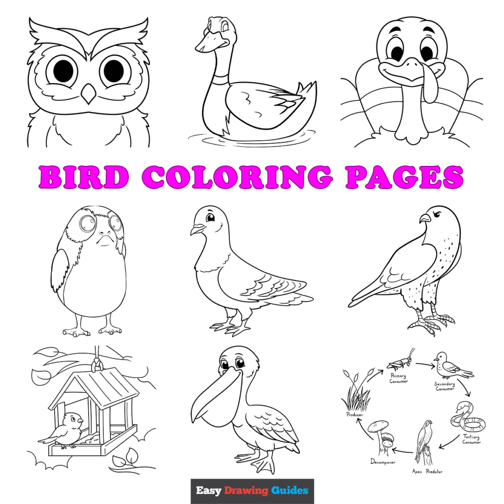 Coloring Pages Of Birds