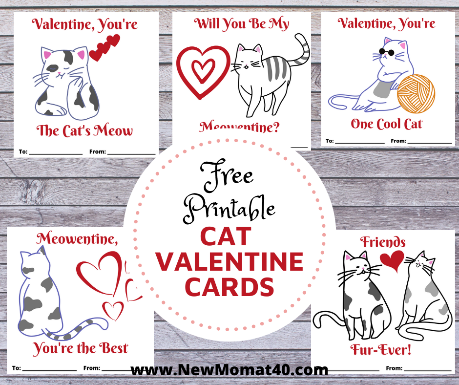 printable cat valentines cards