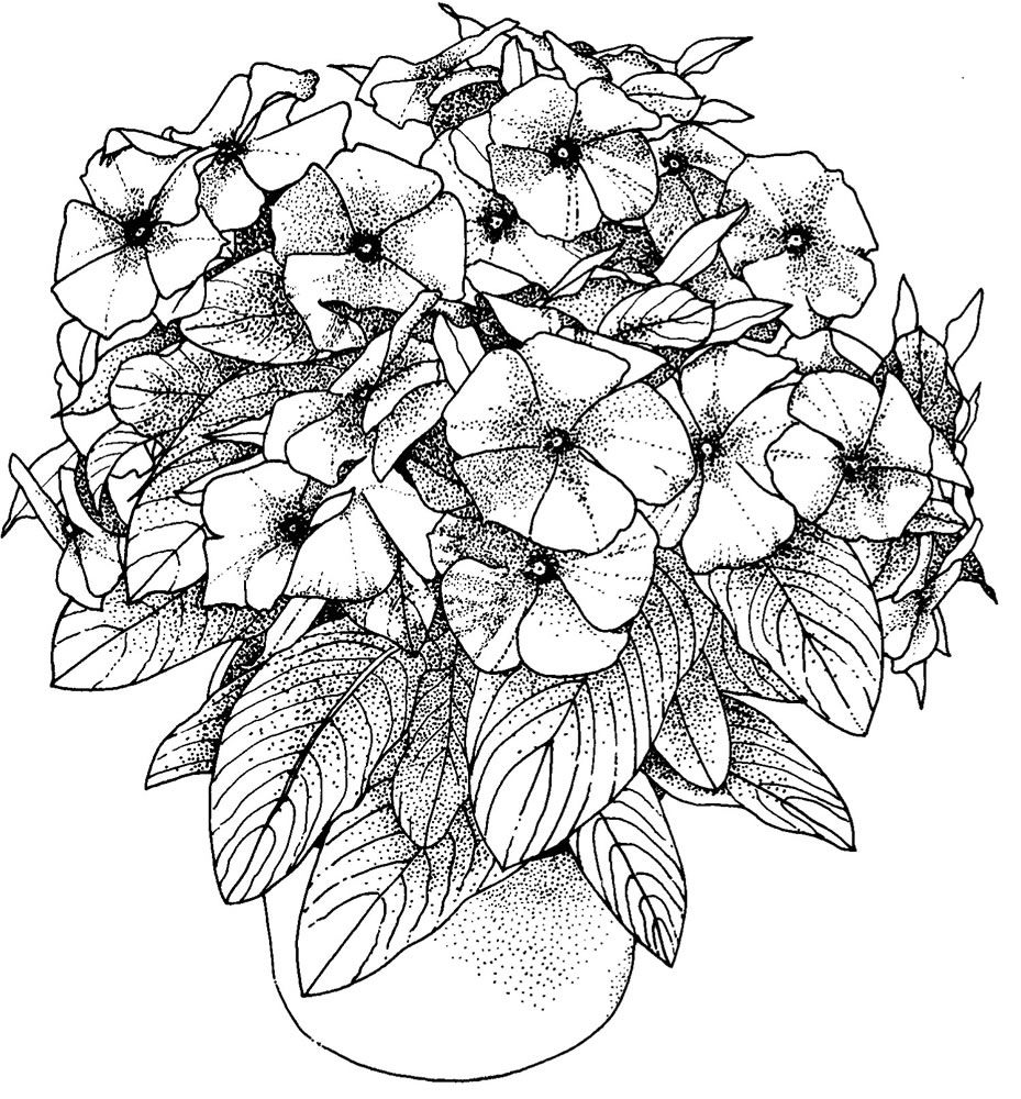 printable coloring pages simple