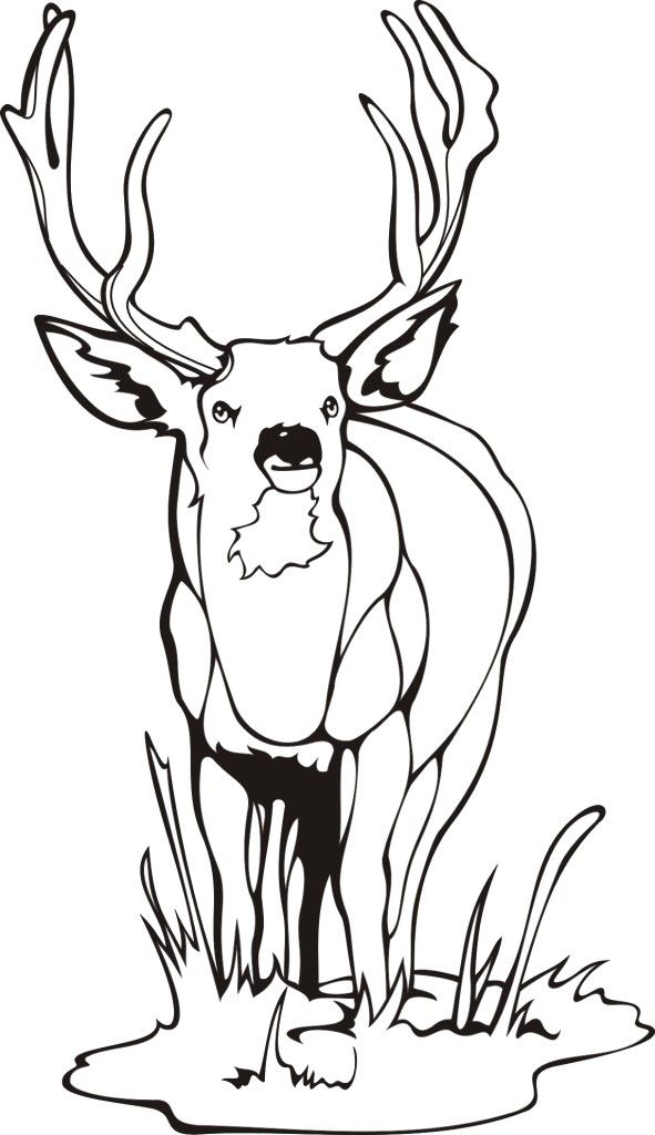 coloring pages to print free