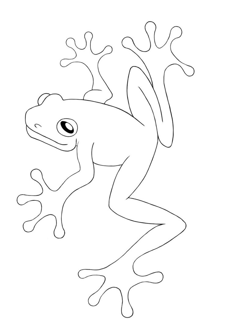 frog free coloring pages