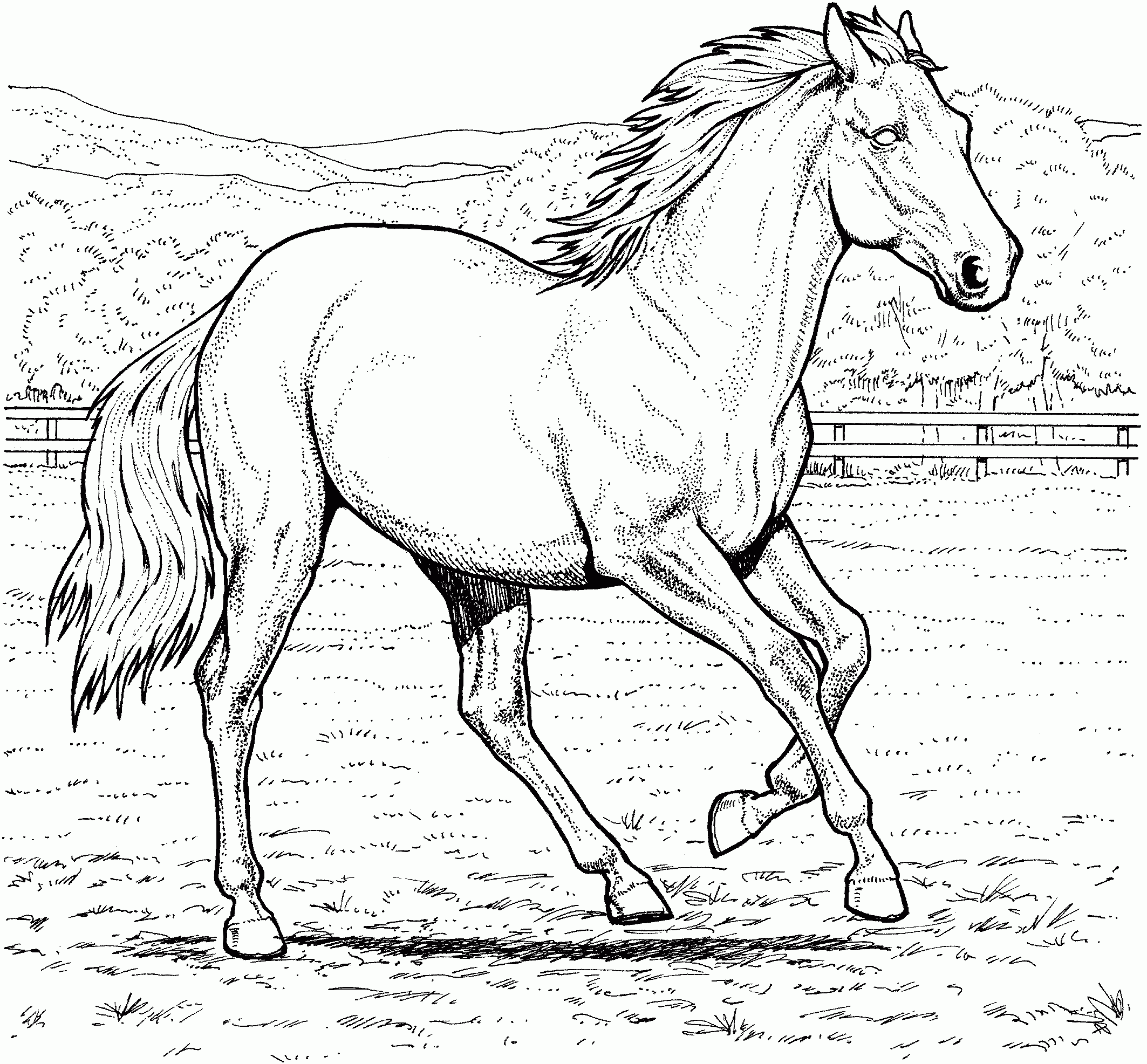 Coloring Pages Horse
