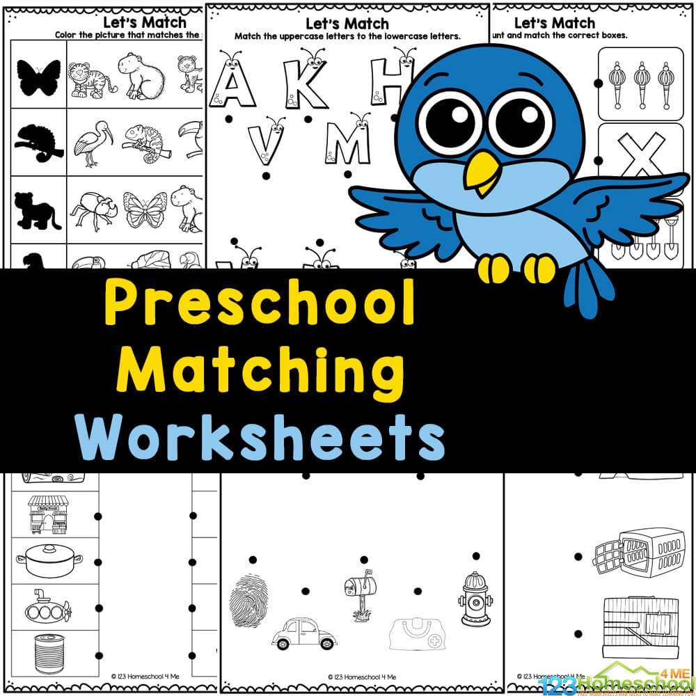 FREE Printable Preschool Matching Worksheets Worksheets Library