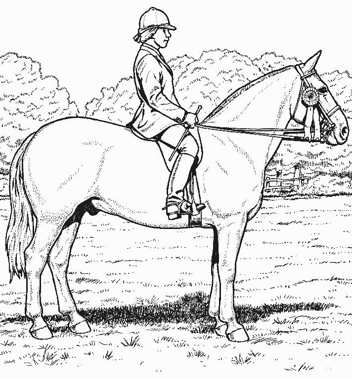 Free Printable Realistic Horse Coloring Pages Coloring Home