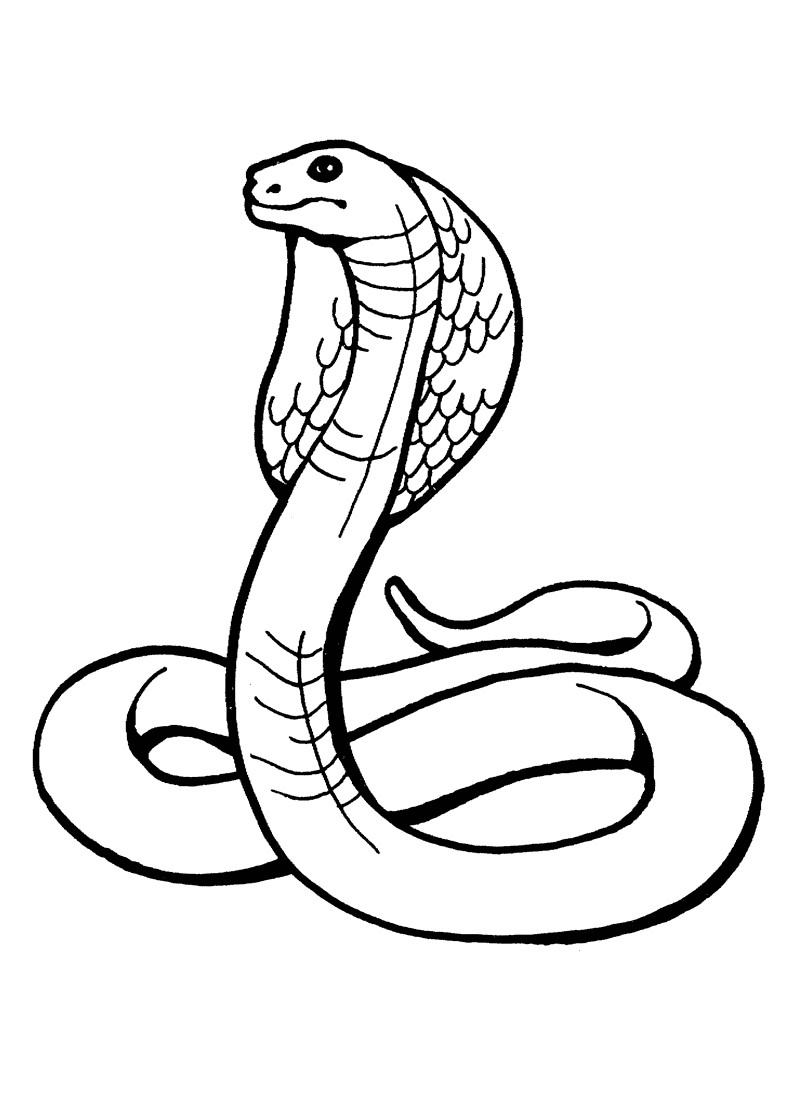 Coloring Pages Snake