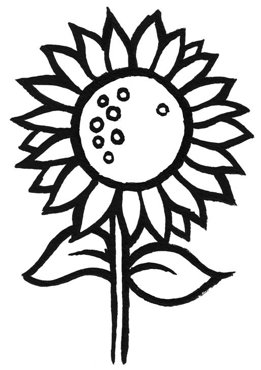 Free Sunflower Color Page Printable Download Free Sunflower Color Page 