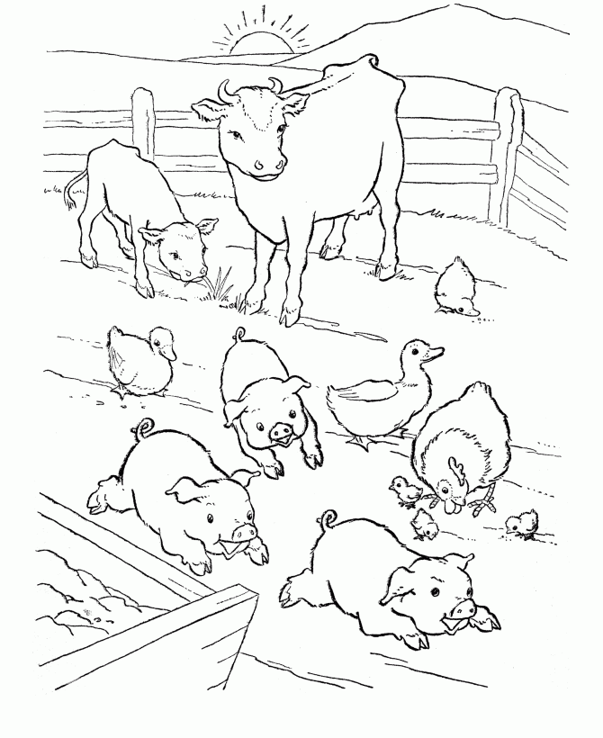 Coloring Pages Animals Farm