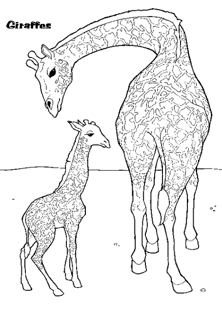 Giraffe Coloring Page Coloring Book
