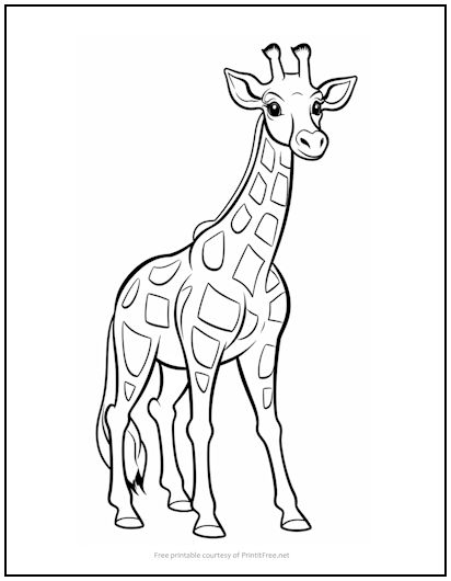 Giraffe Coloring Page Print It Free
