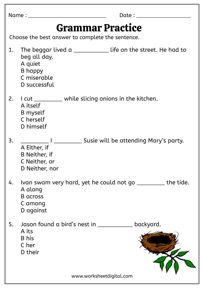 Grammar Practice Year 4 Worksheet Digital Worksheets Library