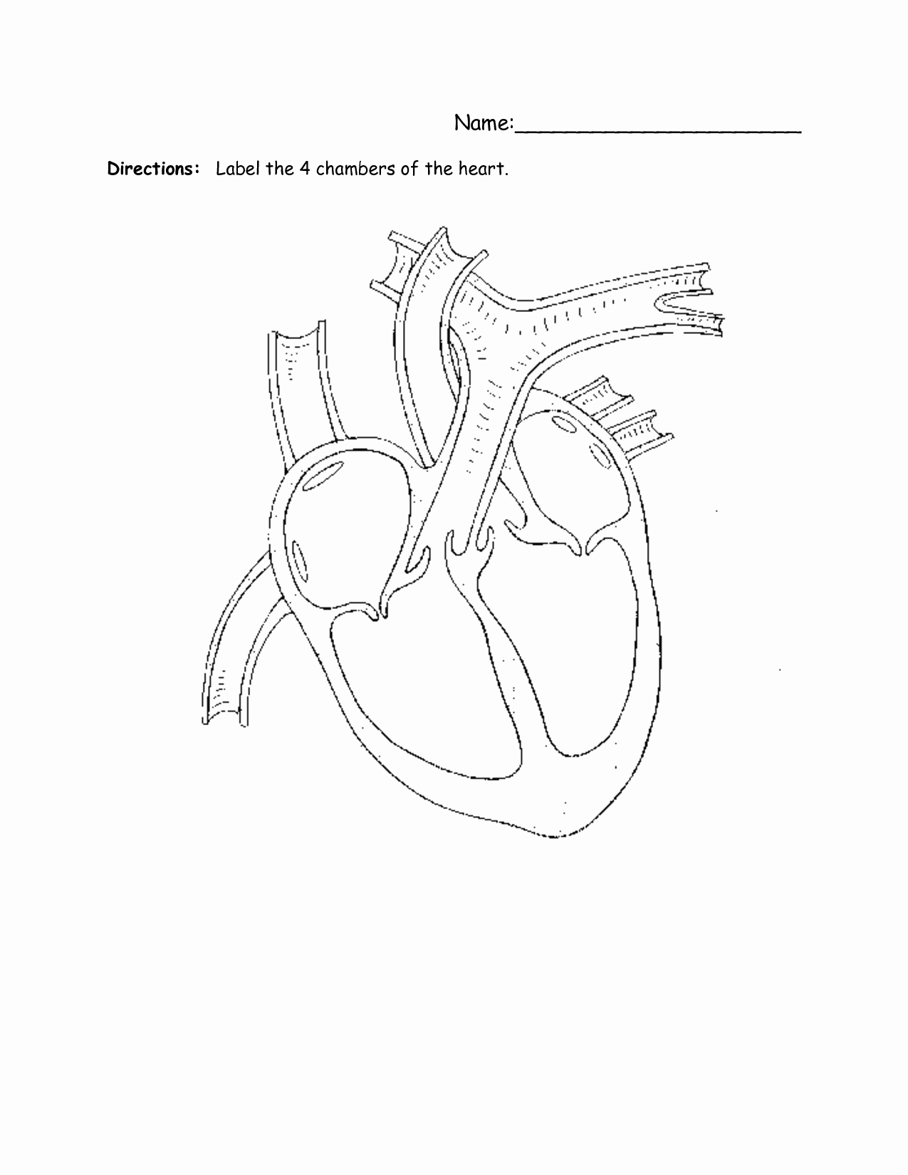 heart label worksheet