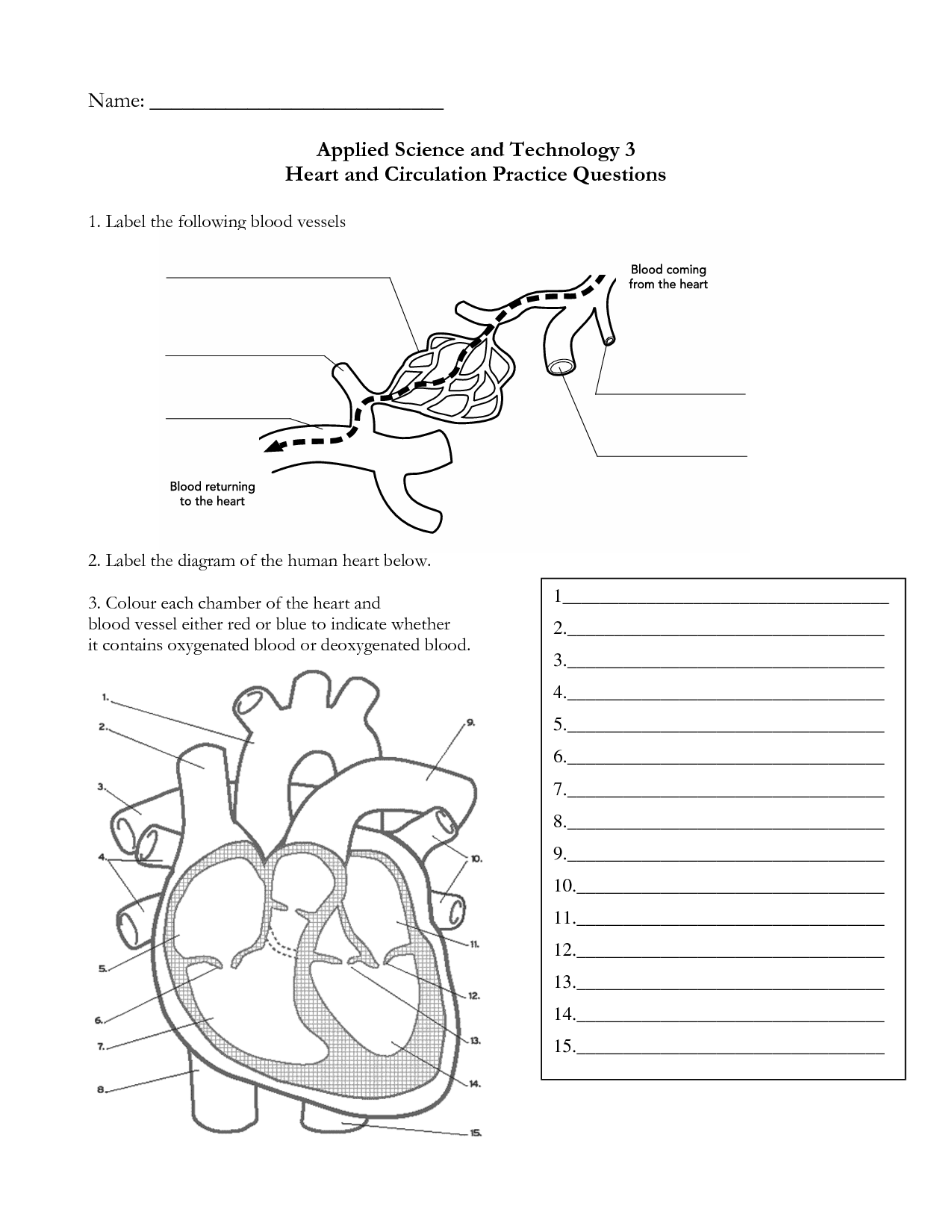 Heart Labeling Worksheet