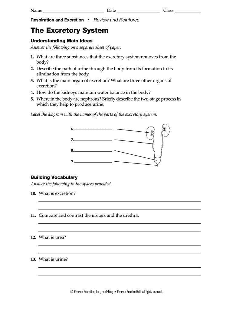 Homeostasis Worksheet Pdf Fill Online Printable Fillable 