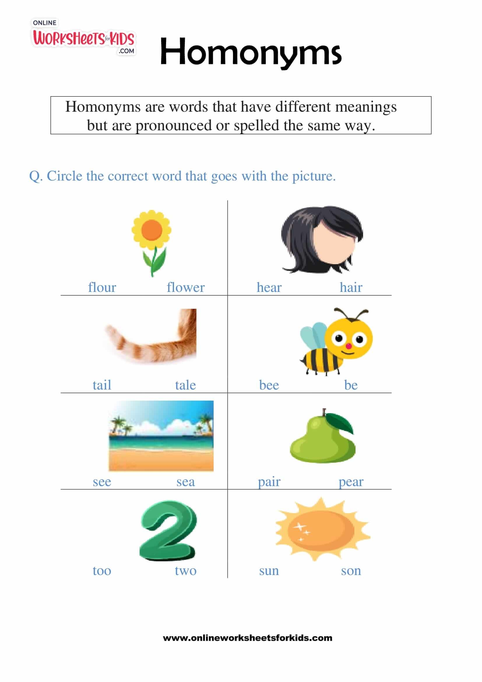 homonyms worksheets