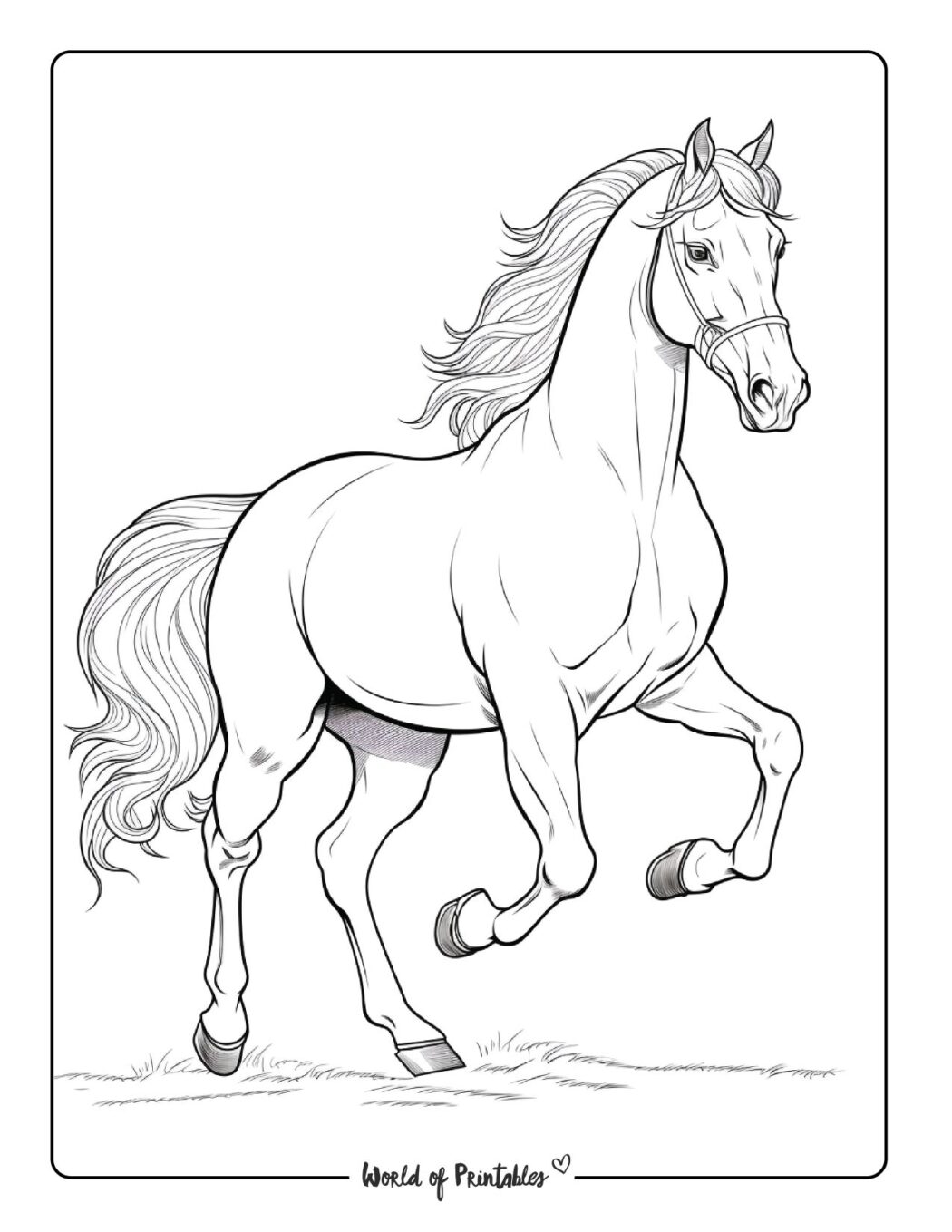 Horse Coloring Pages For Kids Adults World Of Printables