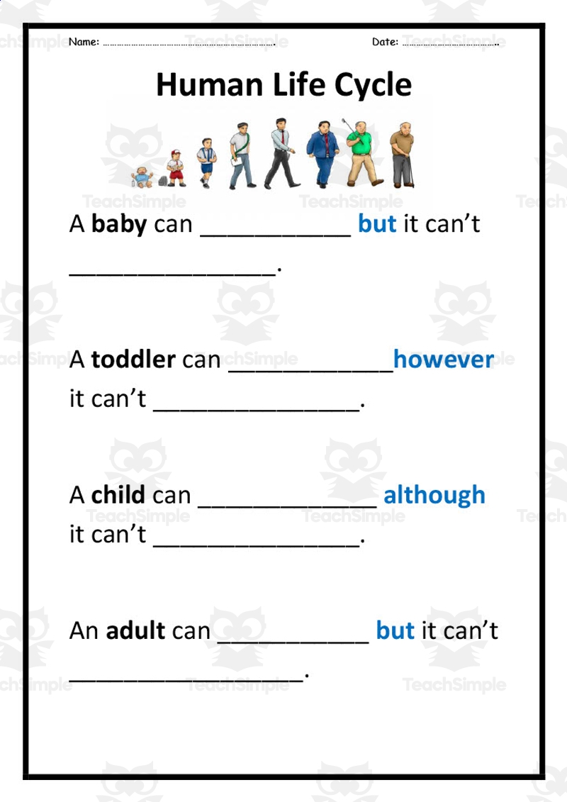 Human Life Cycle Worksheet Free Printable For Children Worksheets 