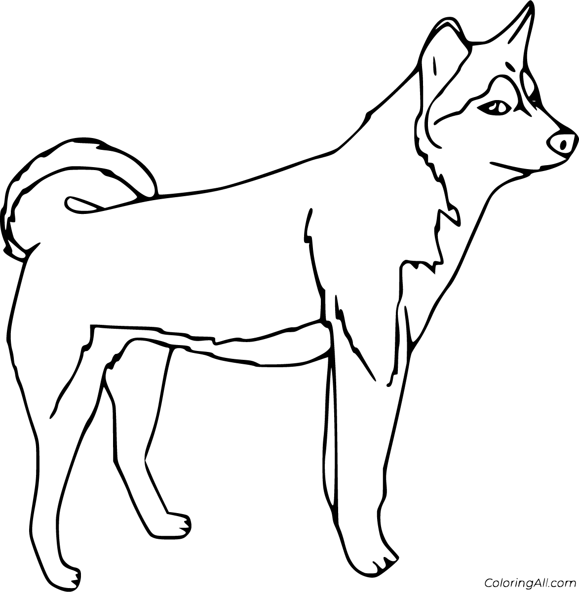 Husky Coloring Pages 21 Free Printables ColoringAll